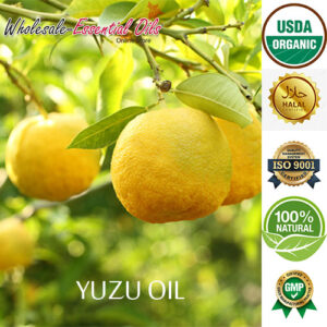 Yuzu Oil